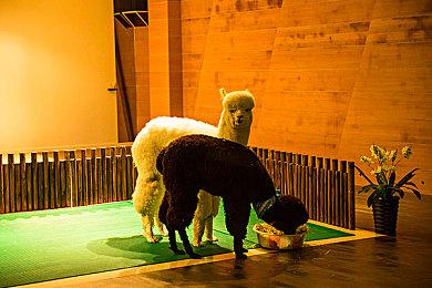 芋虫爬山之旅《小虫虫》10月27日登陆steam